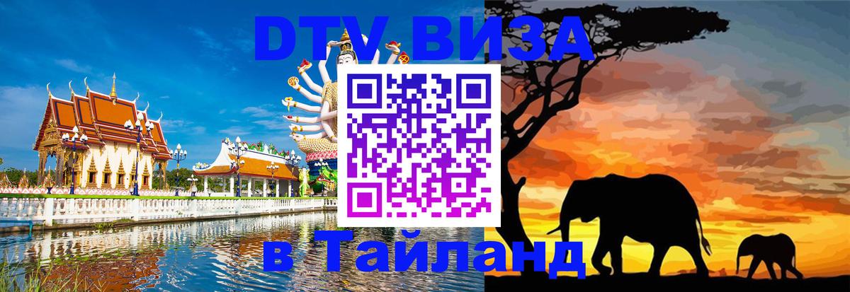 Оформление DTV визы под ключ: стоимость и тарифы, только загранпаспорт - 21.11.2025 